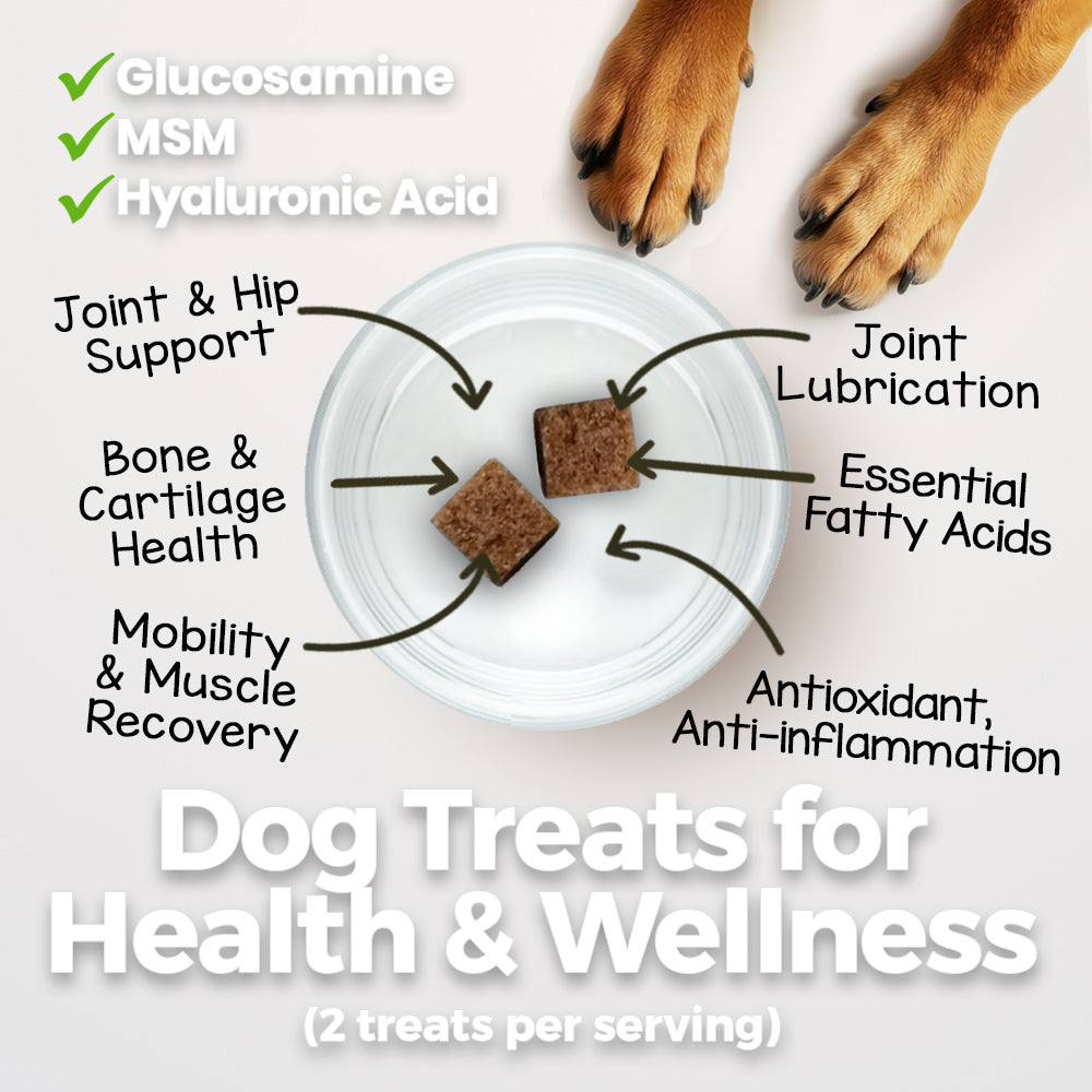 HIP & JOINT CHEWS FOR DOGS